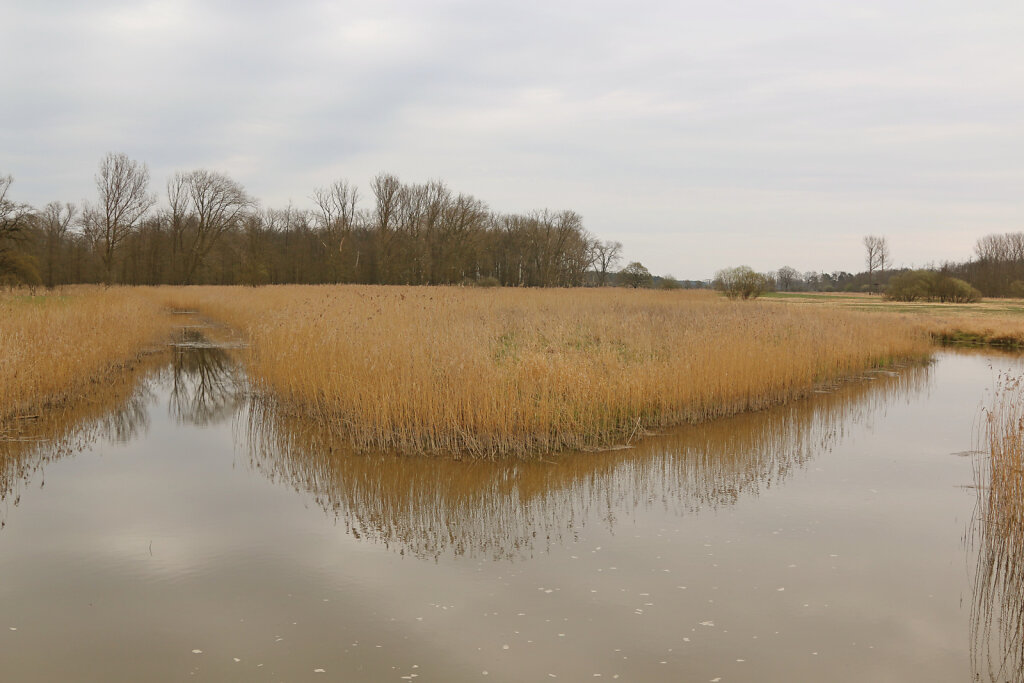 2016-04-16-Marleben-Fruhling-27-von-176-Bearbeitet.jpg