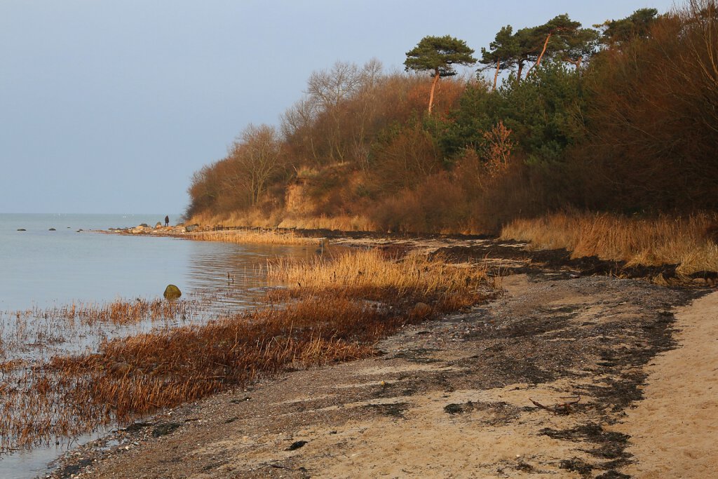 Sunny new year at the coast